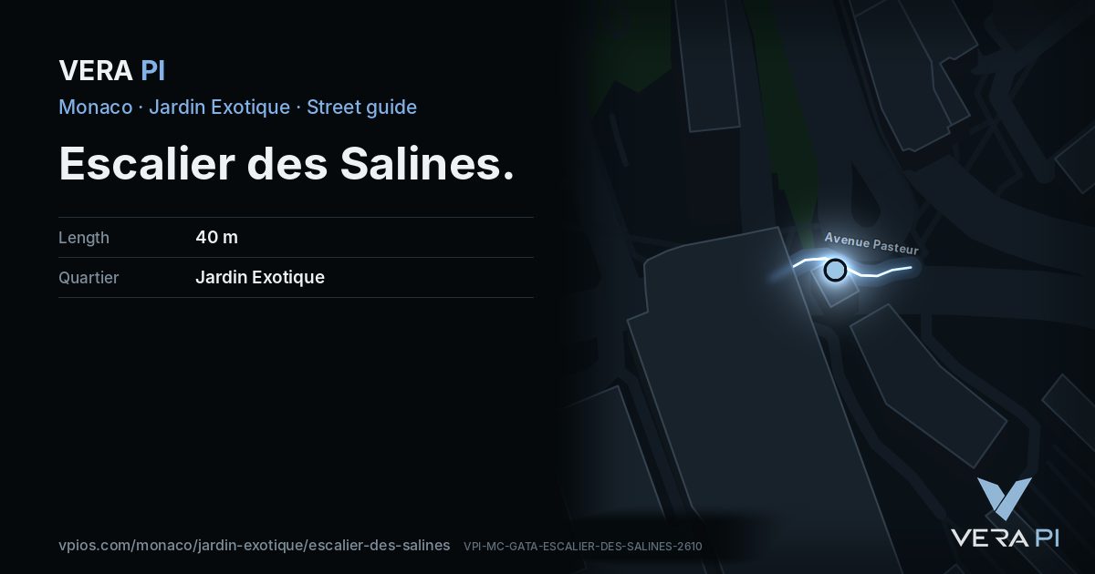 The VERA PI card for Escalier des Salines