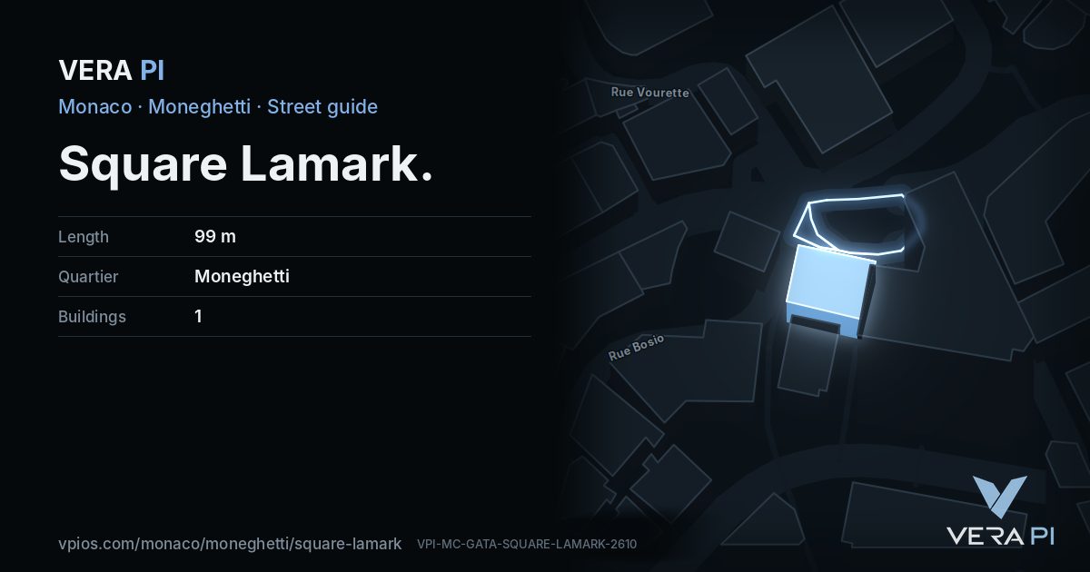 The VERA PI card for Square Lamark