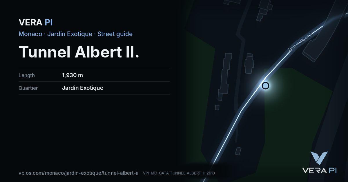 The VERA PI card for Tunnel Albert II