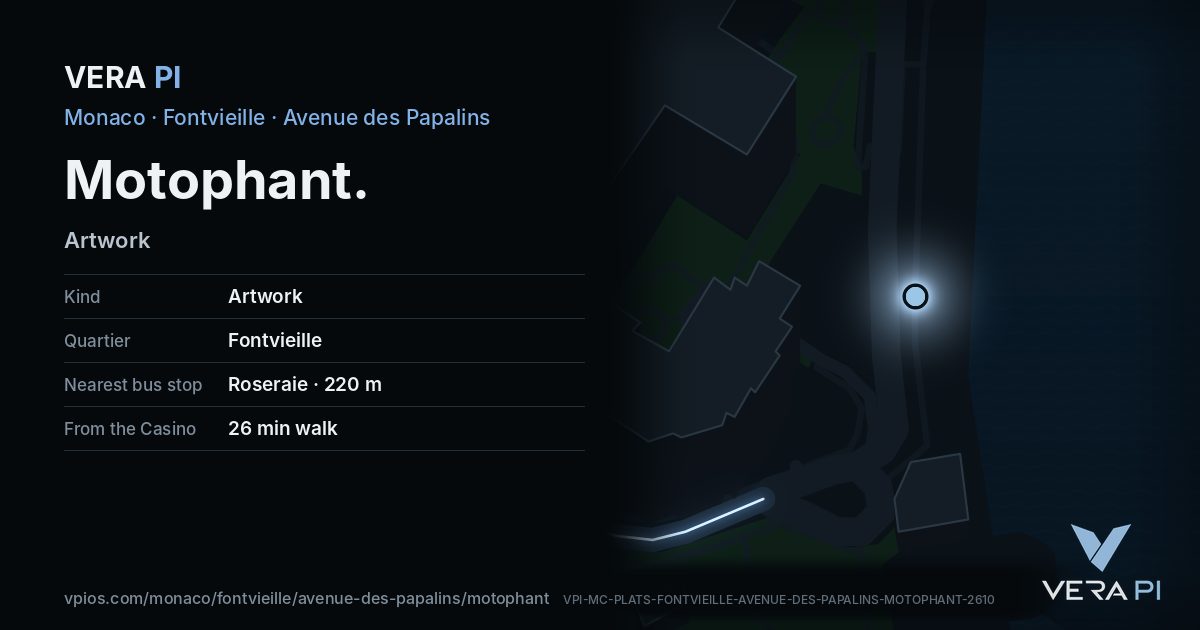 The VERA PI card for Motophant