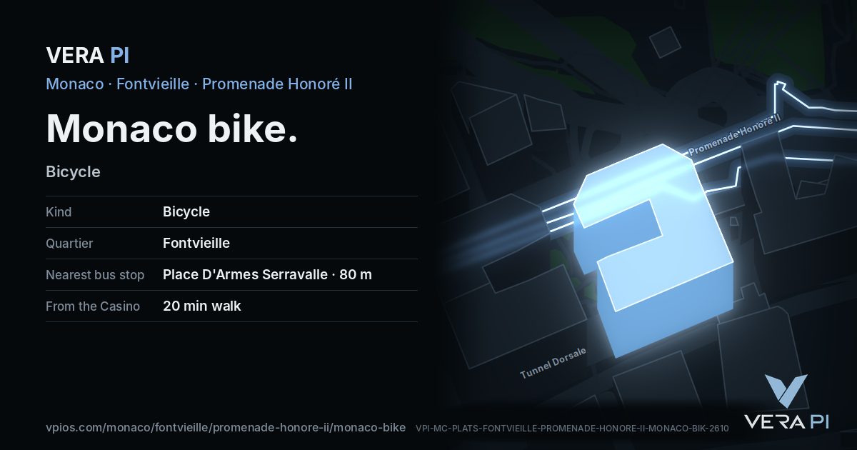 The VERA PI card for Monaco bike
