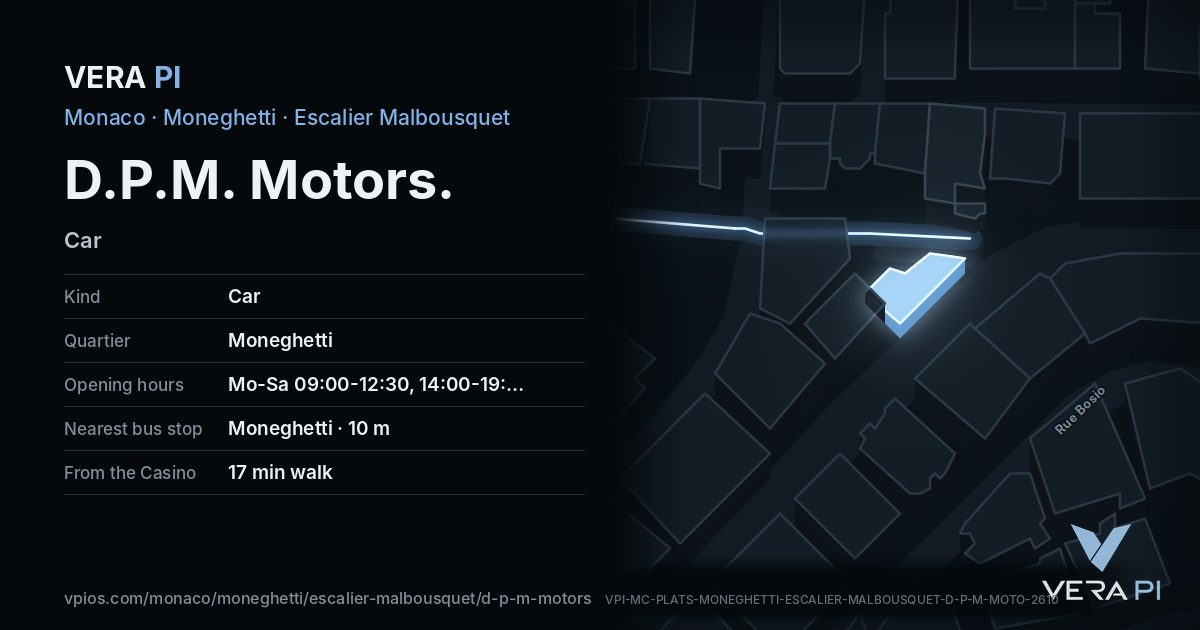 The VERA PI card for D.P.M. Motors